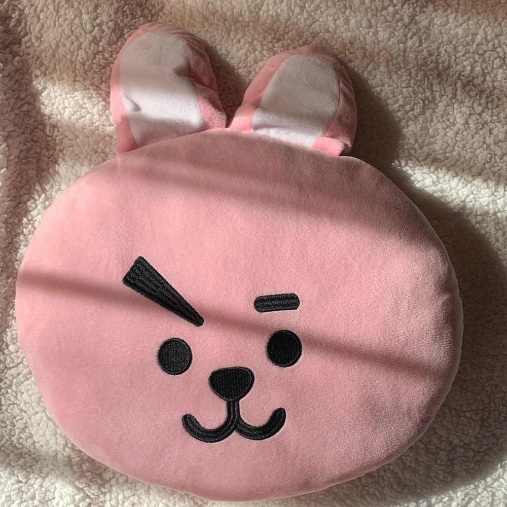 BT21 cooke pillow
